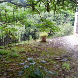Renta Terrazas del Farallón