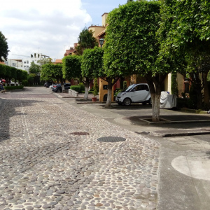 Renta Tizapán San Ángel D
