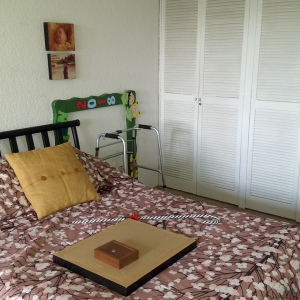 Renta Tepepan Tlalpan
