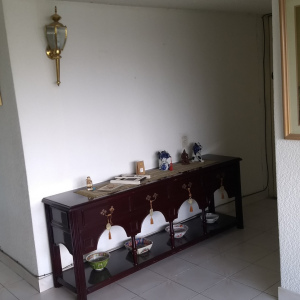 Renta Tepepan Tlalpan