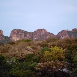 Renta Terrazas del Farallón