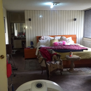 Renta Tepepan Tlalpan