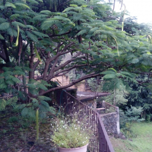 Renta Terrazas del Farallón